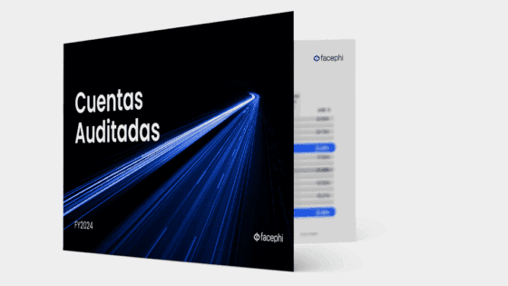 Mockup cuentas auditadas